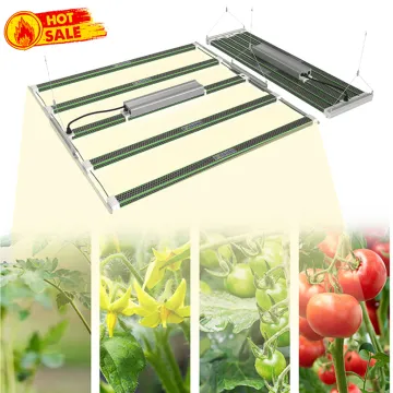 Best Led Grow Light For 4X4 Tent