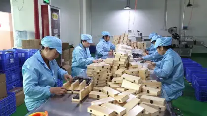 plum blossom coupling plum blossom gasket