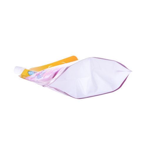 Recyclable reusable bag with spout cap