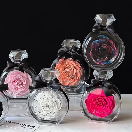 Eternal Roses Wholesale: Decorative Preserved Roses in Acrylic Bottles