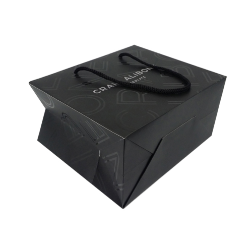 New design luxury fashion paper shopping bags