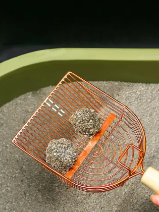 High Quality Multifunctional Cat Litter Scoop - Factory Wholesale