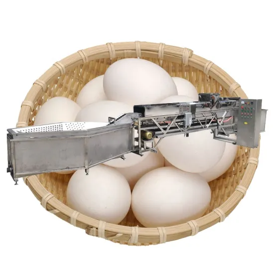 Egg Washing Machine: Professional 5000Pcs/H Fresh Egg Brushing and Drying