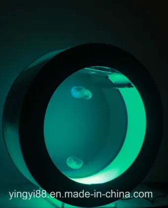 Custom Acrylic Fish Tank with LED Lighting