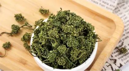 100% Pure Chinese Herbal Tea: Free Sample of Dried Ginseng Flower Tea (Sanchi Flower)