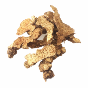 Atractylodes Rhizome Extract Atractylodin Powder