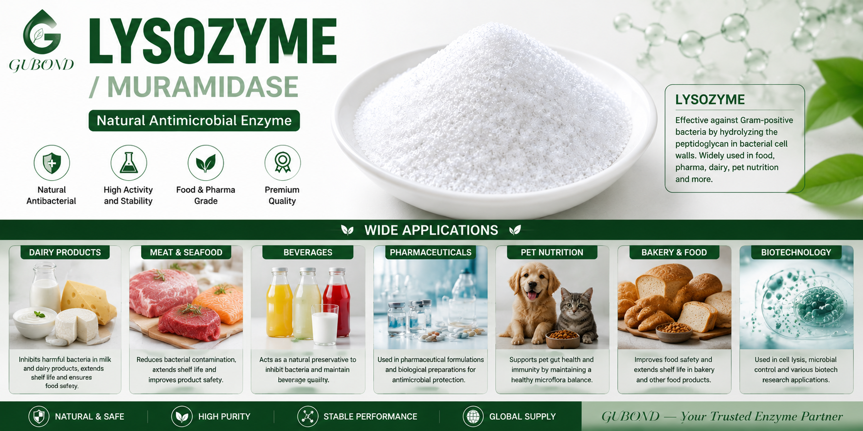 Lysozyme (6)