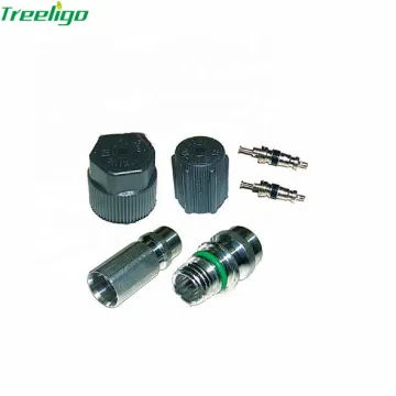 R12 R134 A/C Valve Core Kit for AC Service Port