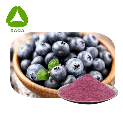 Gezonde Organische Acai Berry Fruit Powder Halal