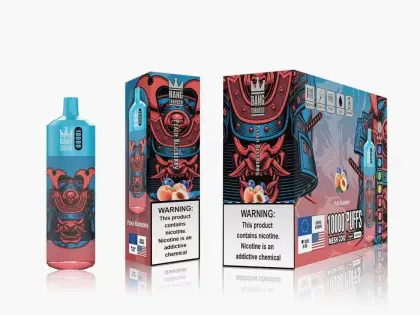 Bang Disposable Vape 10000Puffs Wholesale Disposable Vape