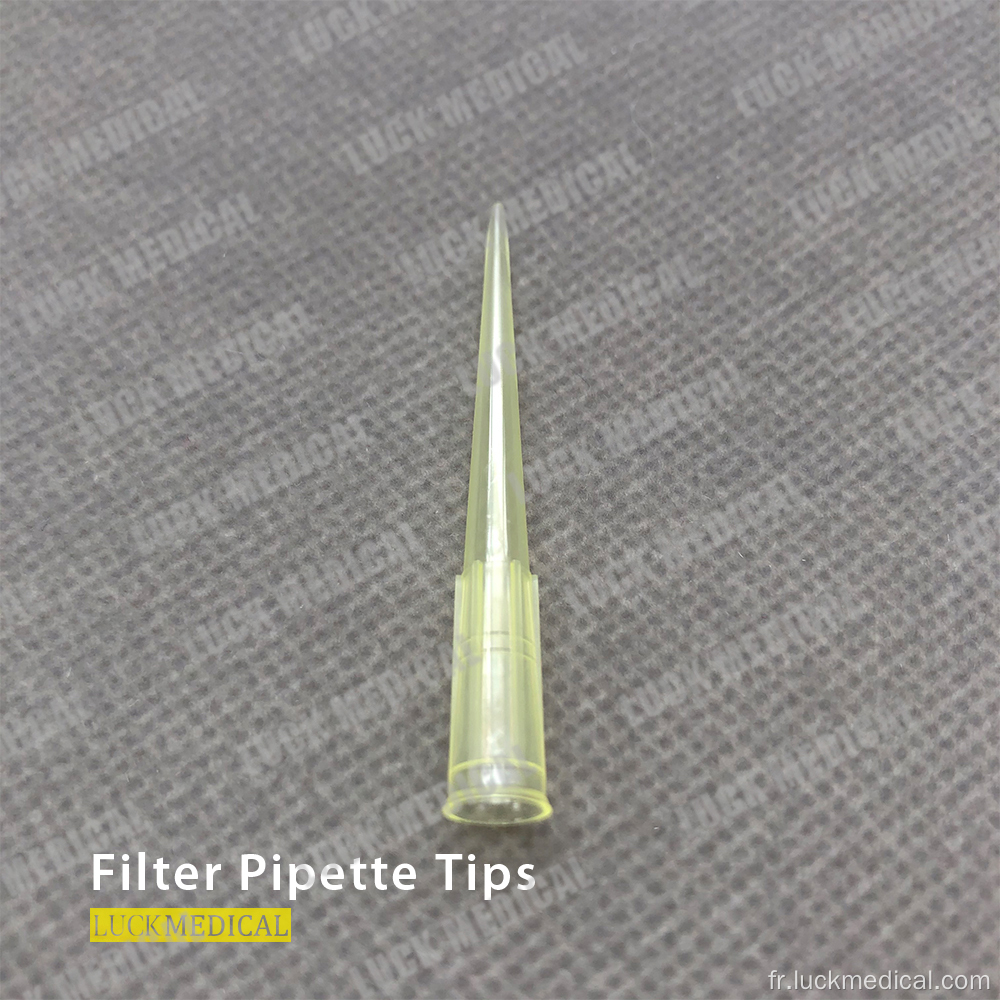 Astuce de pipette jetable 200UL / 1000UL