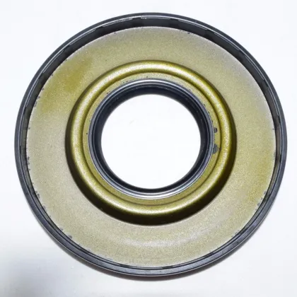 Rotary Shaft Oil Seal Factory: OEM & ODM Servo Motor Oil Seal BE6657F NBR Material