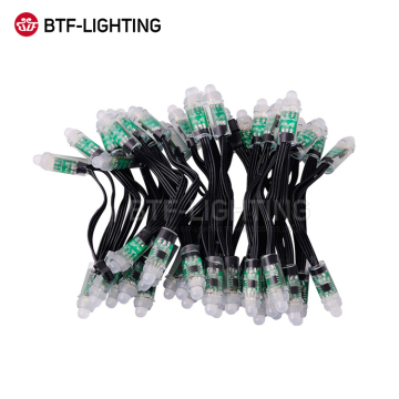 IP68 مقاومة للماء 12 مم RGB LED - WS2811 Smart Pixel Light String لعيد الميلاد