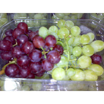 Fresh Grapes