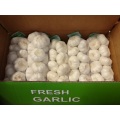 2020 Pure White Garlic 1Kg Beutel