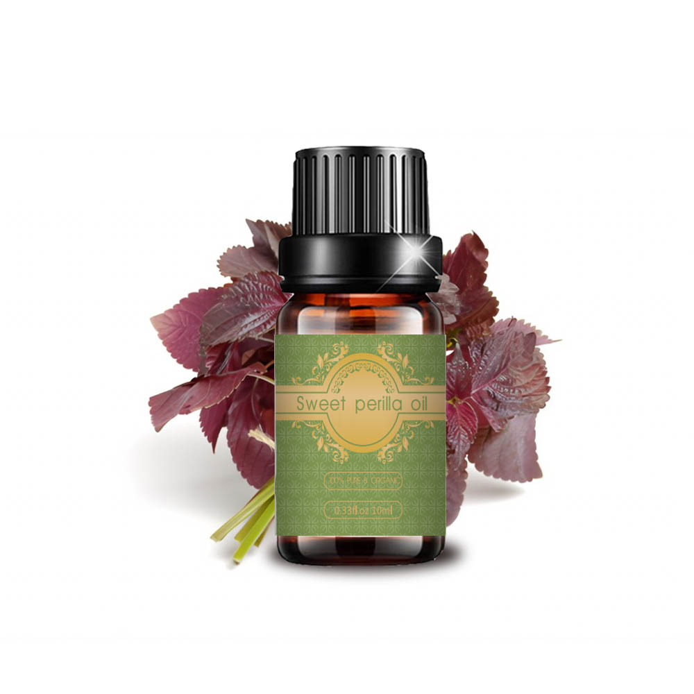 High qualitgy organic fragrance sweet perilla essential oil