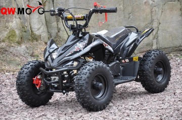 cheap 2 Stroke Mini Gas power 49cc Mini Quad for kids