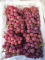 Yunnan Grapes fiyat düşüşü