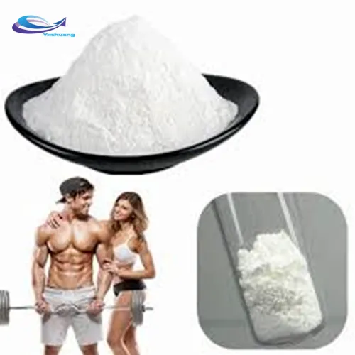 wholesale White Sarms Yk-11 Yk11 Bodybuilding