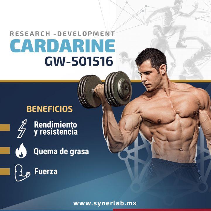 gw501516 sarms bodybuilding
