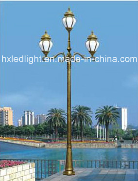 Decorative Golden Garden Fixture Lighting (HXGH4603)