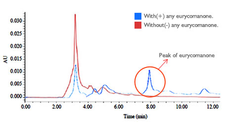 Tongkat ali extract eurycomanone 1% 2%-HPLC