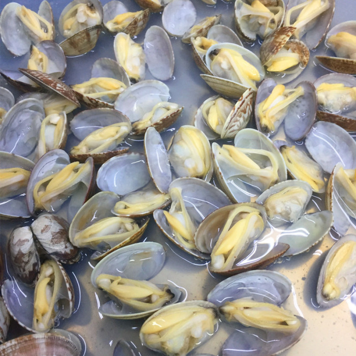 Hochwertige IQF -Baby -Muscheln mit Muschel