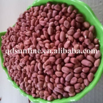 redskin peanut kernel baisha type