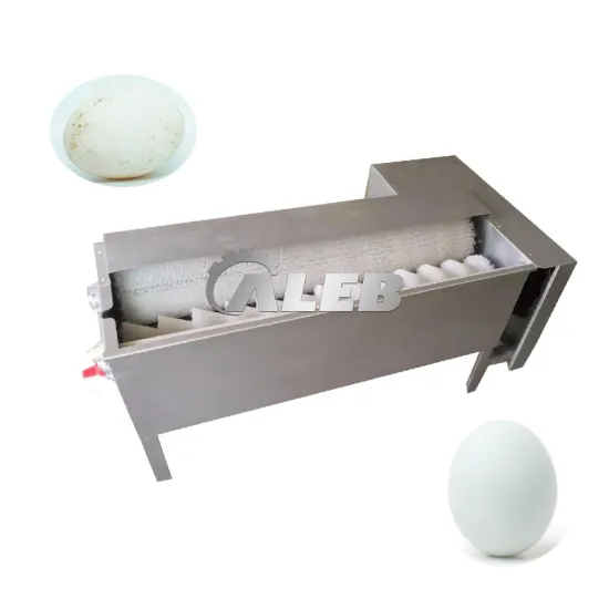 Hot Selling Pigeon Egg Washer and Hen Grading Cleaning Machine for Sale