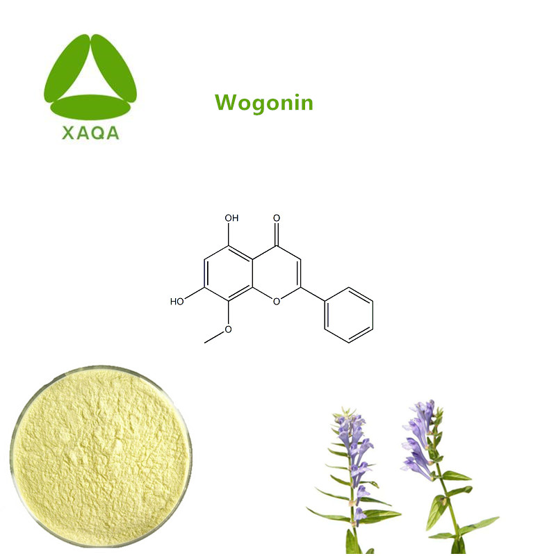 Scutellaria Baicalensis Extract Wogonin 98% Powder Price