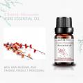 Cherry Blossoms Oil Natural Aromatherapy Pure Fragrance Perfume