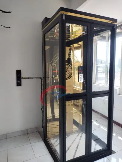 Home Lift System Elevators Small Home Elevator Villa Lift Glasss