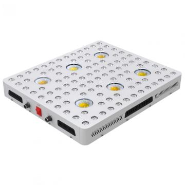 600W 강력한 크리어 COB LED 성장 빛