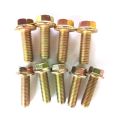 Hardware Parts Flange Bolt and Nut-Set for Pack