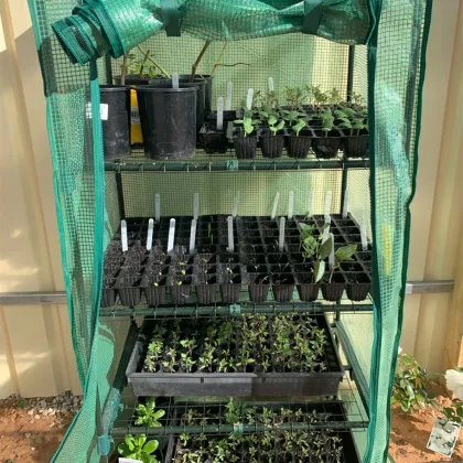 Plant Seedling Starter Nursery - Germinating Trays and Microgreen Trays