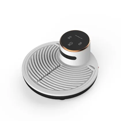 Ranbem 136D Home Appliance: Cloth Machine, Flat Brush, Steamer, and Dryer