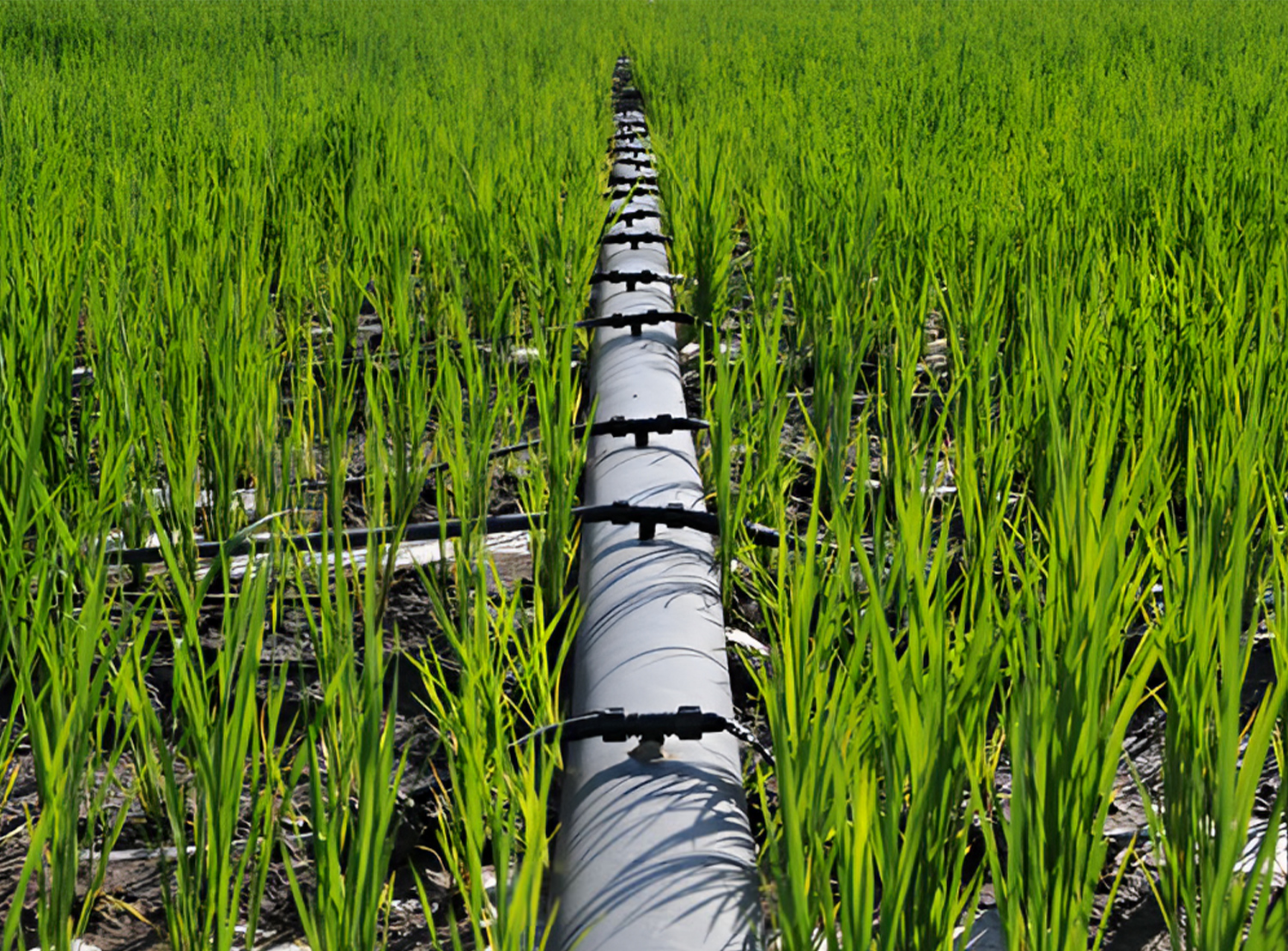 hdpe pipe hdpe pipe