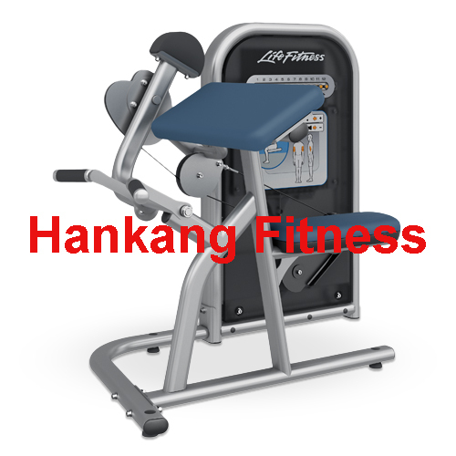 Fitness Equipment, , Body Building Eqiupment, Hammer Strength, Biceps Curl (PT-602)