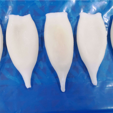 High Quantity Factory Direct Frozen Squid Tube Illex Argentina Squid Tube U3/5/7/10