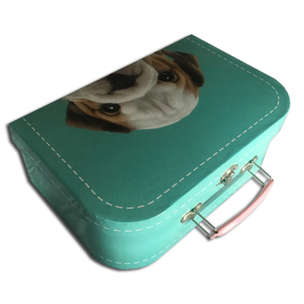 Cyan Color Carry Mini Printed Suitcase Box