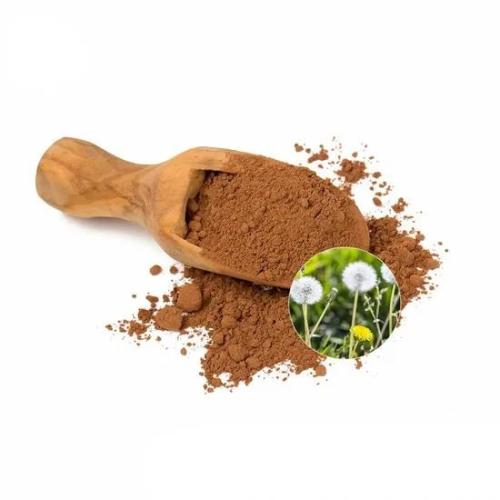 Herbal Extract Dandelion Extract Powder