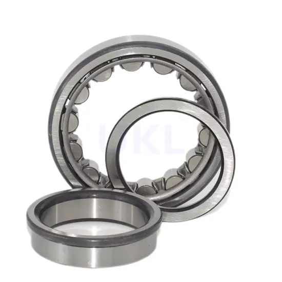 Germany Hydraulic pump bearing F-554377 Double Row Cylindrical Roller Bearing F-554377