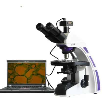1600X Binocular Biological Laboratory Microscope for Research