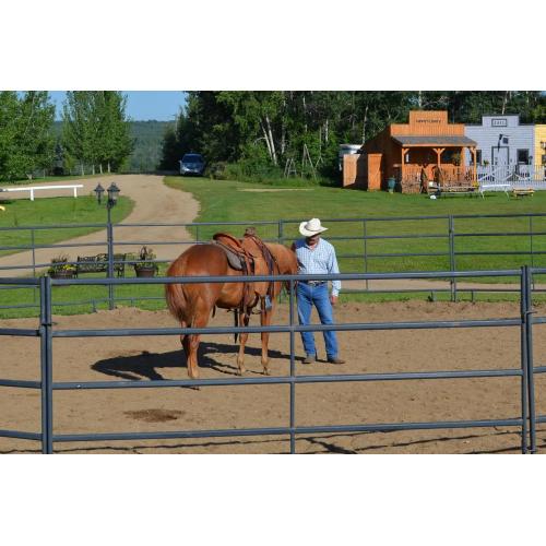 recinzione del cavallo del PVC / pannelli di recinzione del metallo del bestiame