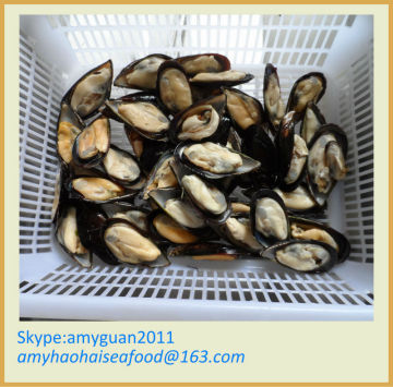 fully cooked IQF Mussel meat half-shell