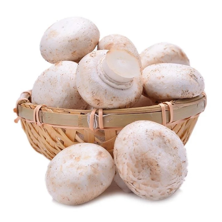 Agaricus Bisporus Extract