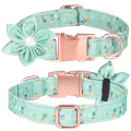 pet collar with print 2