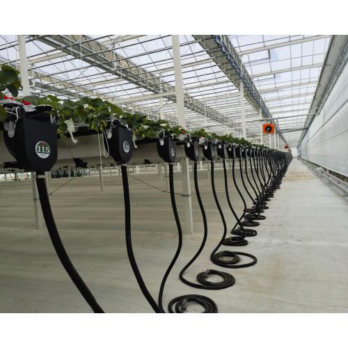 Multi Type Agricultural Planting Greenhouse