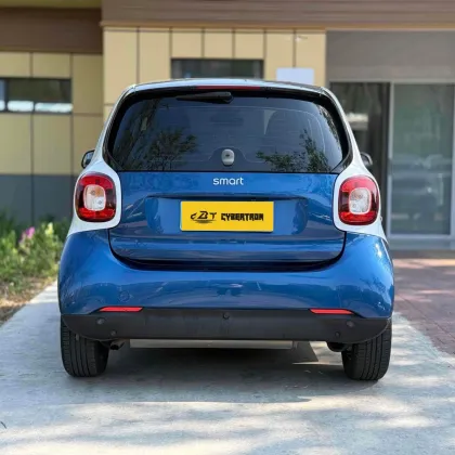 Smart Fortwo 2019 66kW Hardtop Wind Power Edition