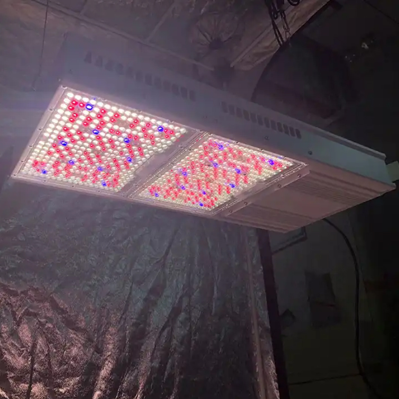 Hps Grow Light 1930e 11